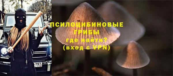 PSILOCYBIN Майский