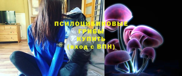 PSILOCYBIN Майский