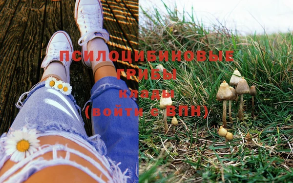 PSILOCYBIN Майский