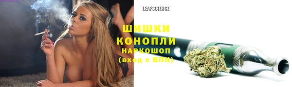 PSILOCYBIN Майский
