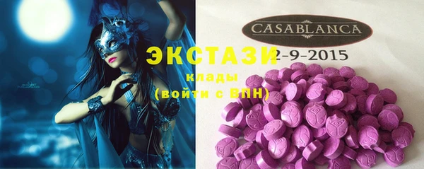 PSILOCYBIN Майский