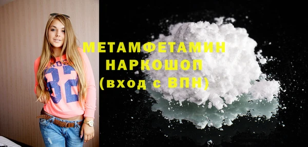 PSILOCYBIN Майский
